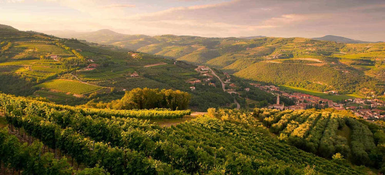 LA VALPOLICELLA